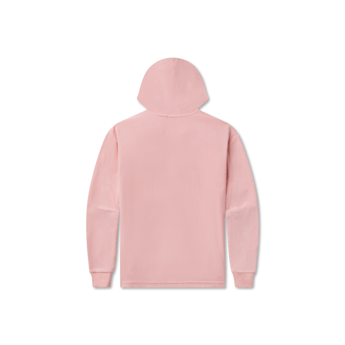 Camellia | Back